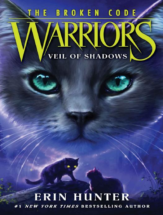 Warriors: The Broken Code #3: Veil of Shadows