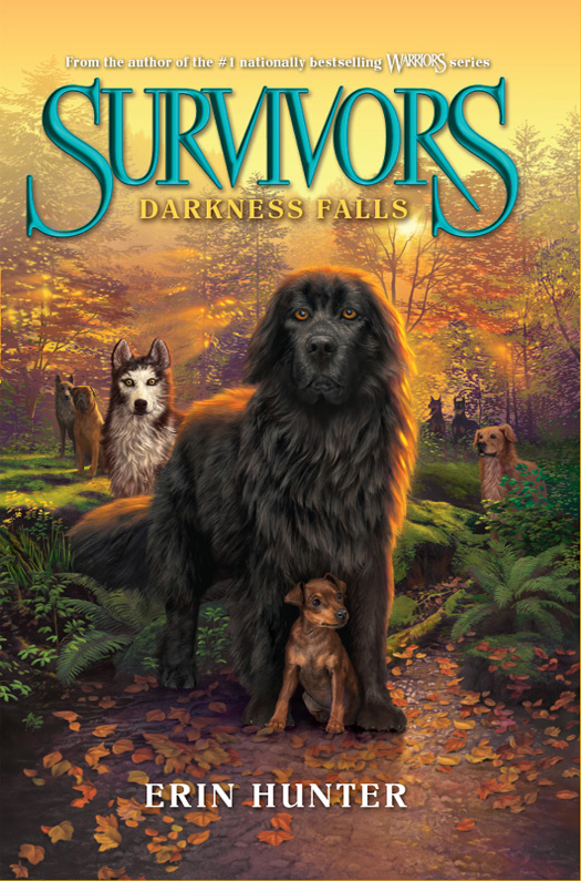 Survivors #3: Darkness Falls